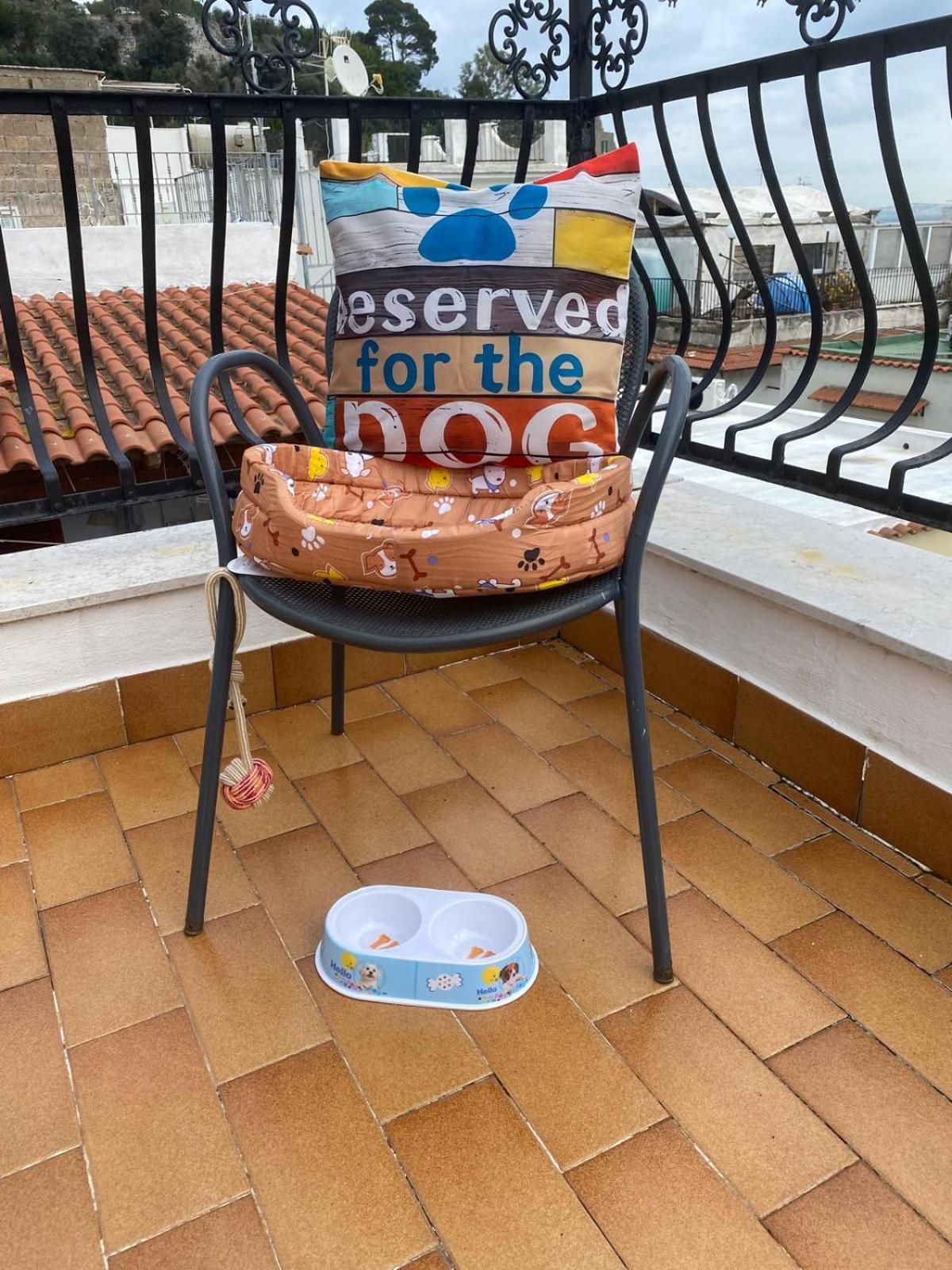 Villa La Casa Rosa Di Giulia à Ischia Extérieur photo